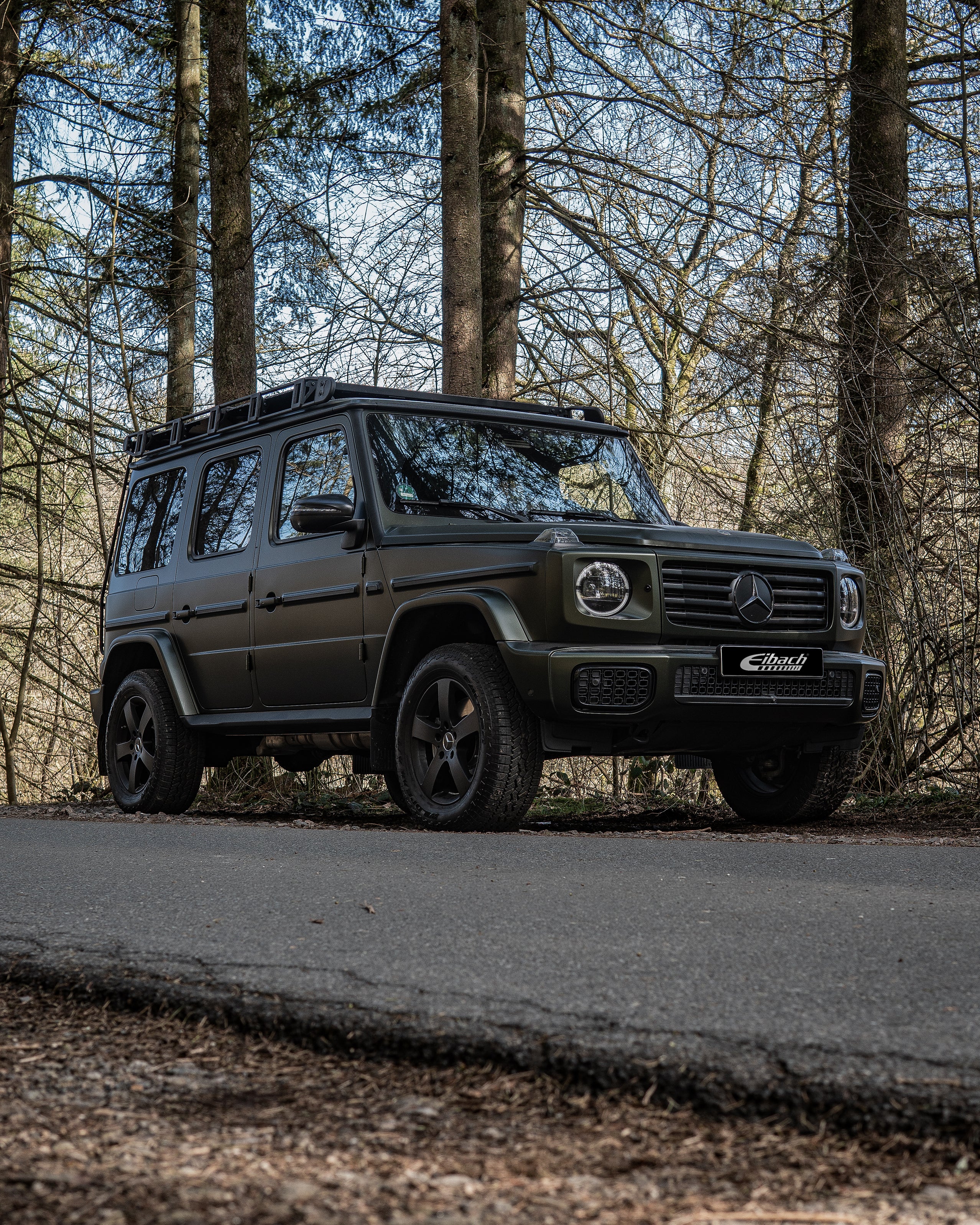 Eibach Pro-Lift Kit Springs (E30-25-053-04-22) - Image 2